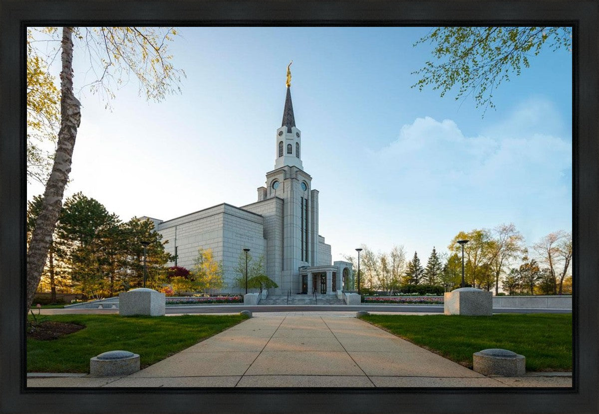 Boston Temple Spring Blossoms Gallery Wrap