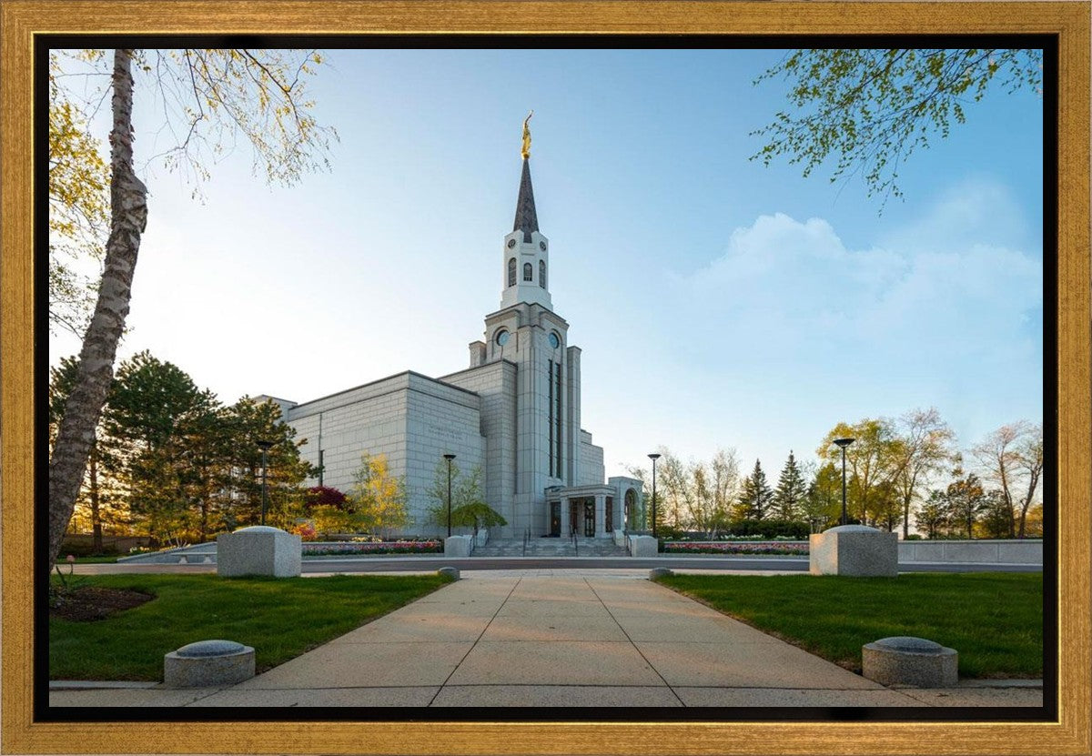 Boston Temple Spring Blossoms Gallery Wrap