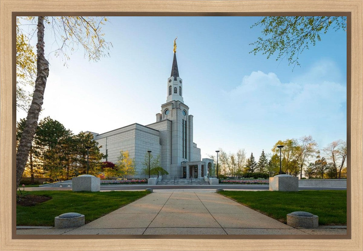 Boston Temple Spring Blossoms Gallery Wrap