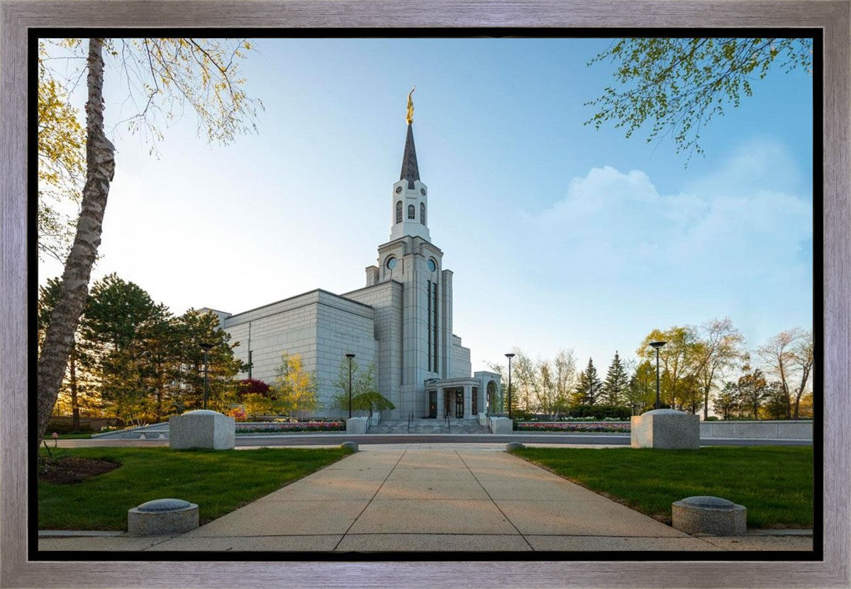 Boston Temple Spring Blossoms Gallery Wrap