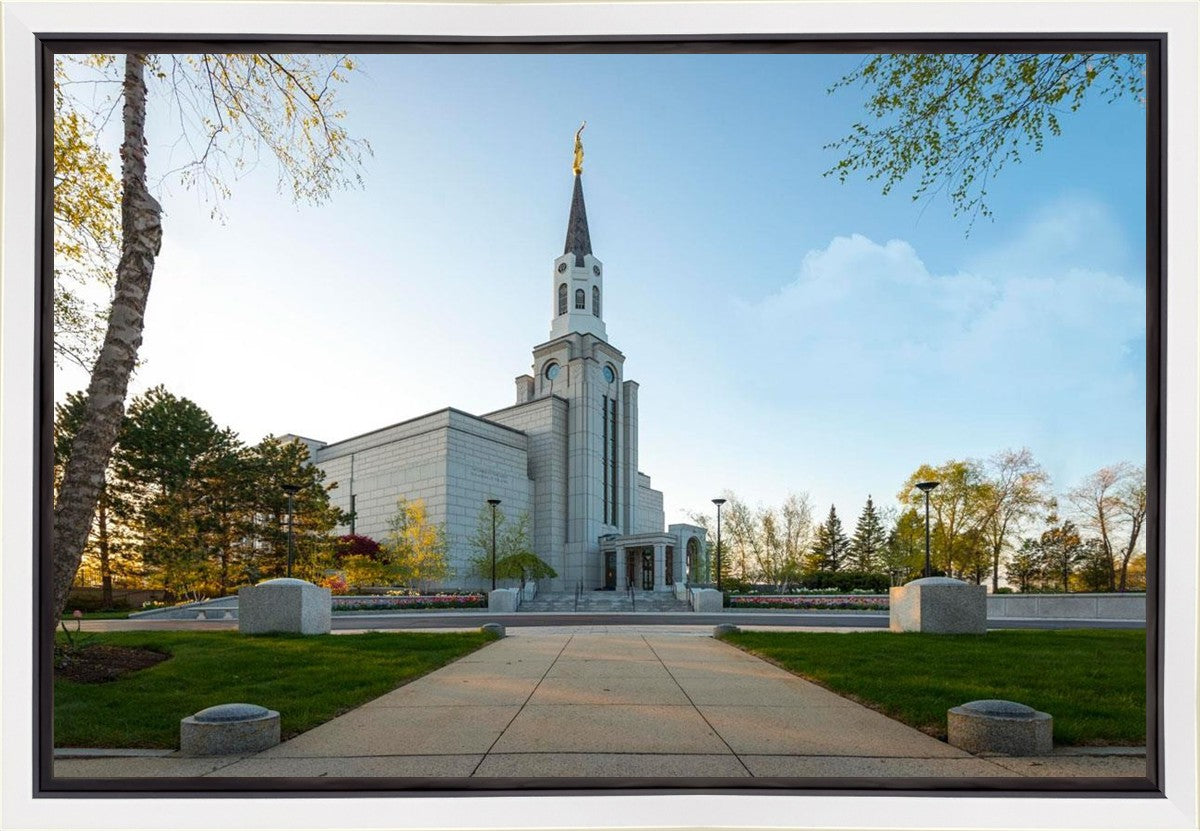Boston Temple Spring Blossoms Gallery Wrap