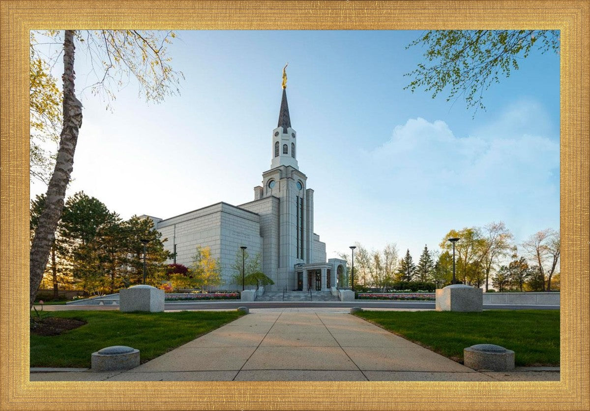 Boston Temple Spring Blossoms
