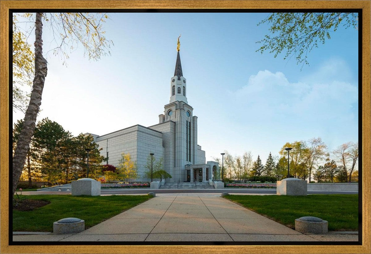 Boston Temple Spring Blossoms Gallery Wrap