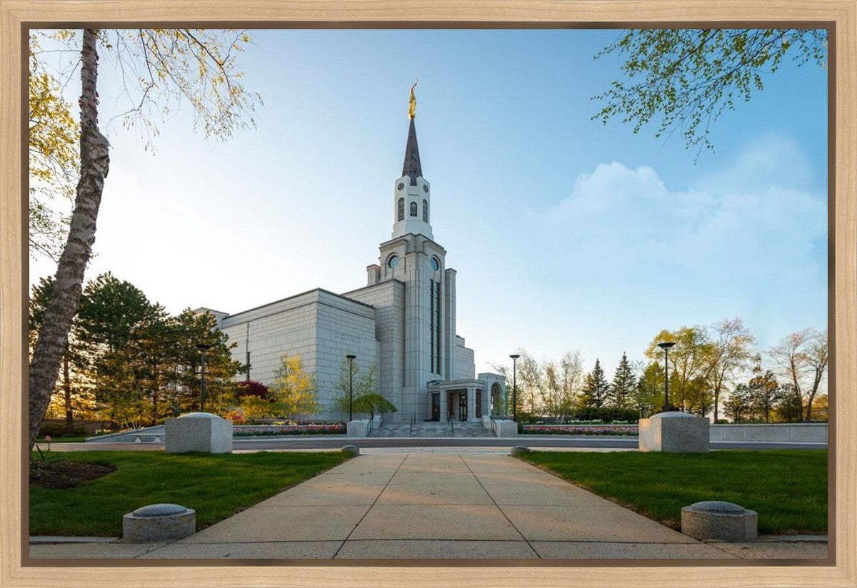 Boston Temple Spring Blossoms Gallery Wrap