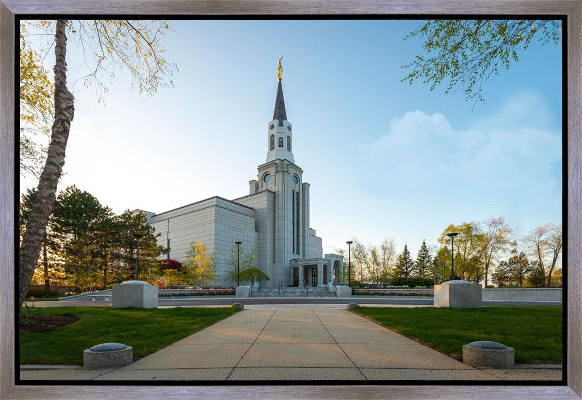 Boston Temple Spring Blossoms Gallery Wrap