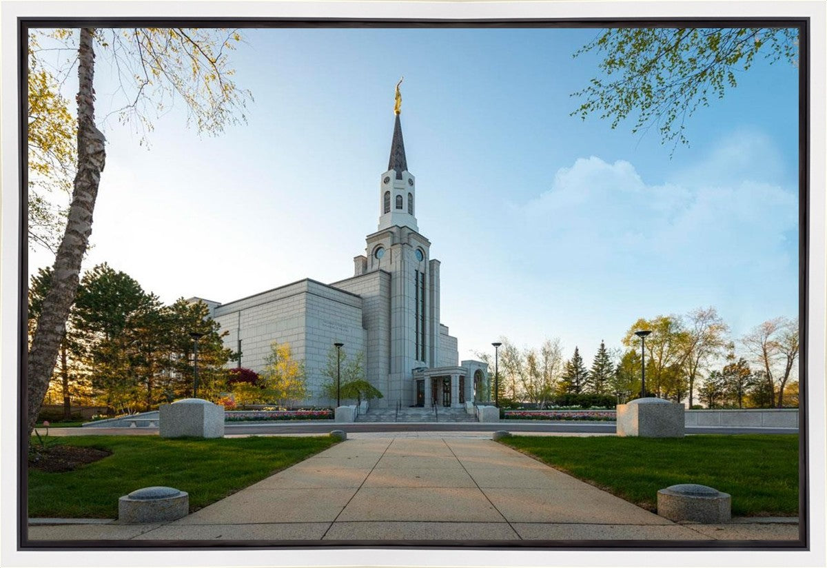 Boston Temple Spring Blossoms Gallery Wrap
