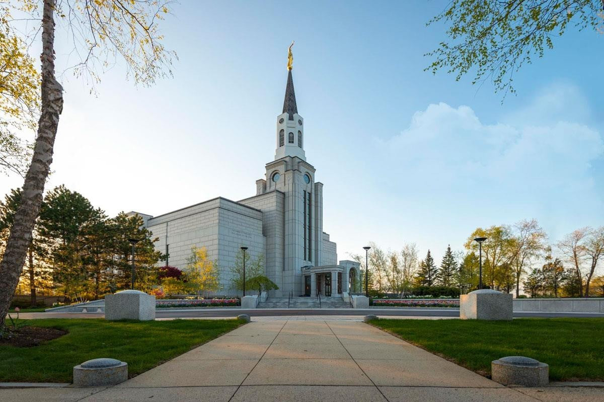Boston Temple Spring Blossoms Gallery Wrap