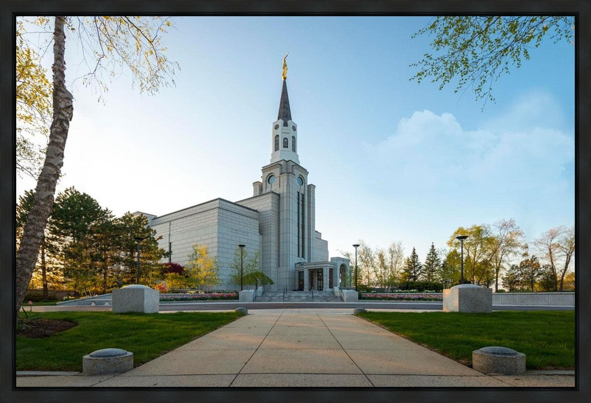 Boston Temple Spring Blossoms Gallery Wrap