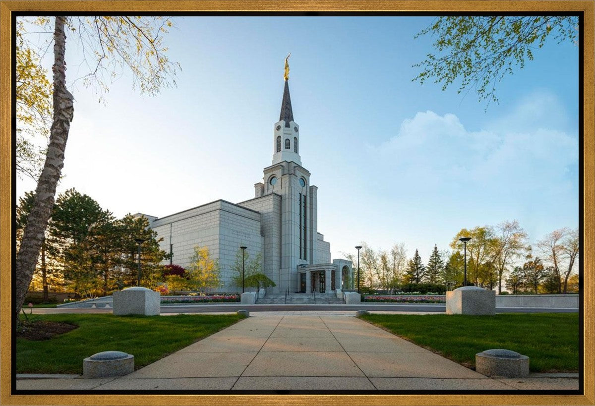Boston Temple Spring Blossoms Gallery Wrap
