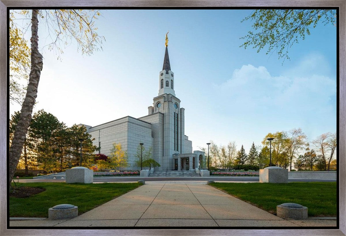 Boston Temple Spring Blossoms Gallery Wrap