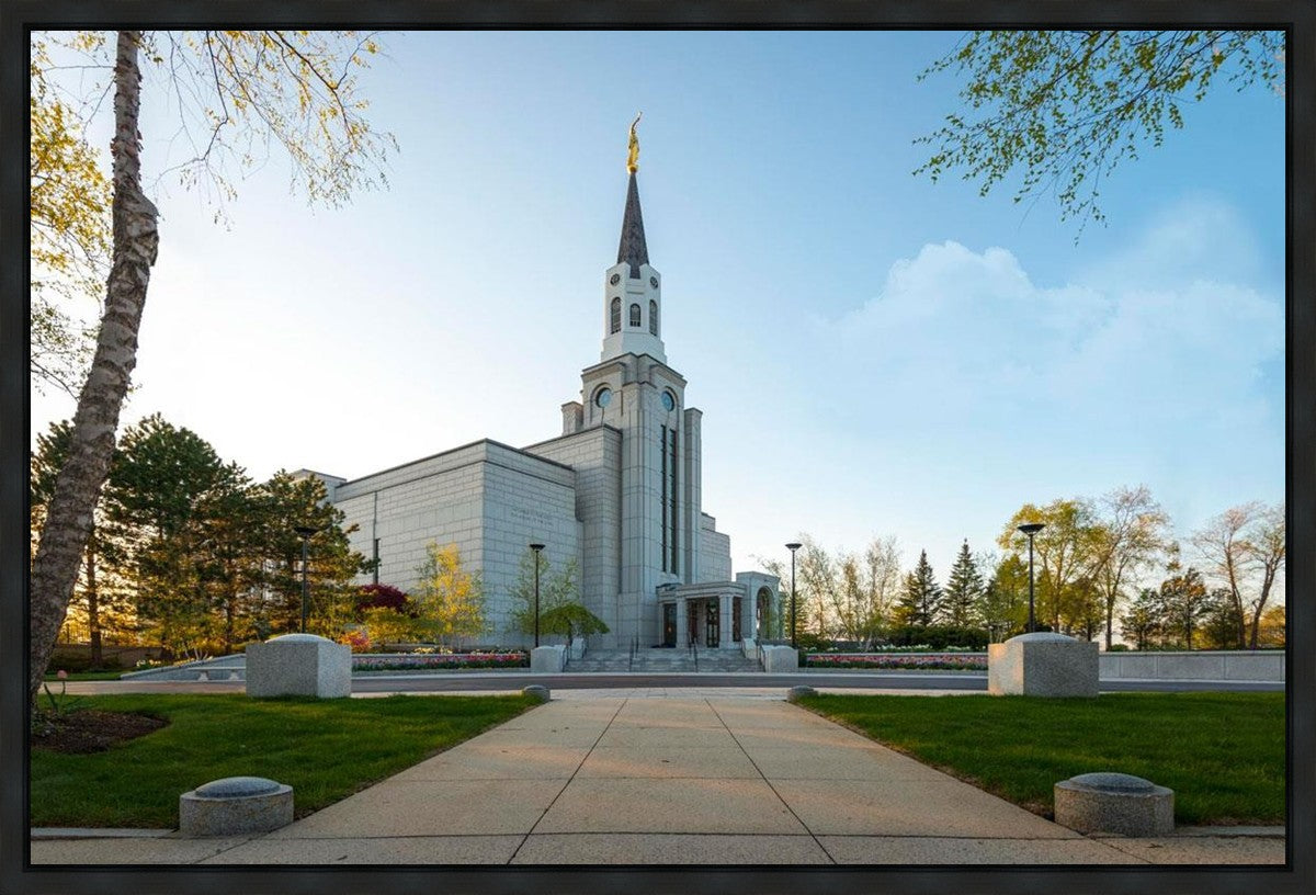 Boston Temple Spring Blossoms Gallery Wrap