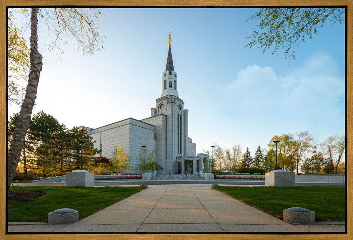 Boston Temple Spring Blossoms Gallery Wrap