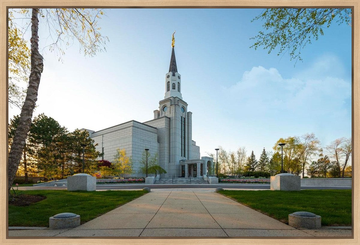 Boston Temple Spring Blossoms Gallery Wrap