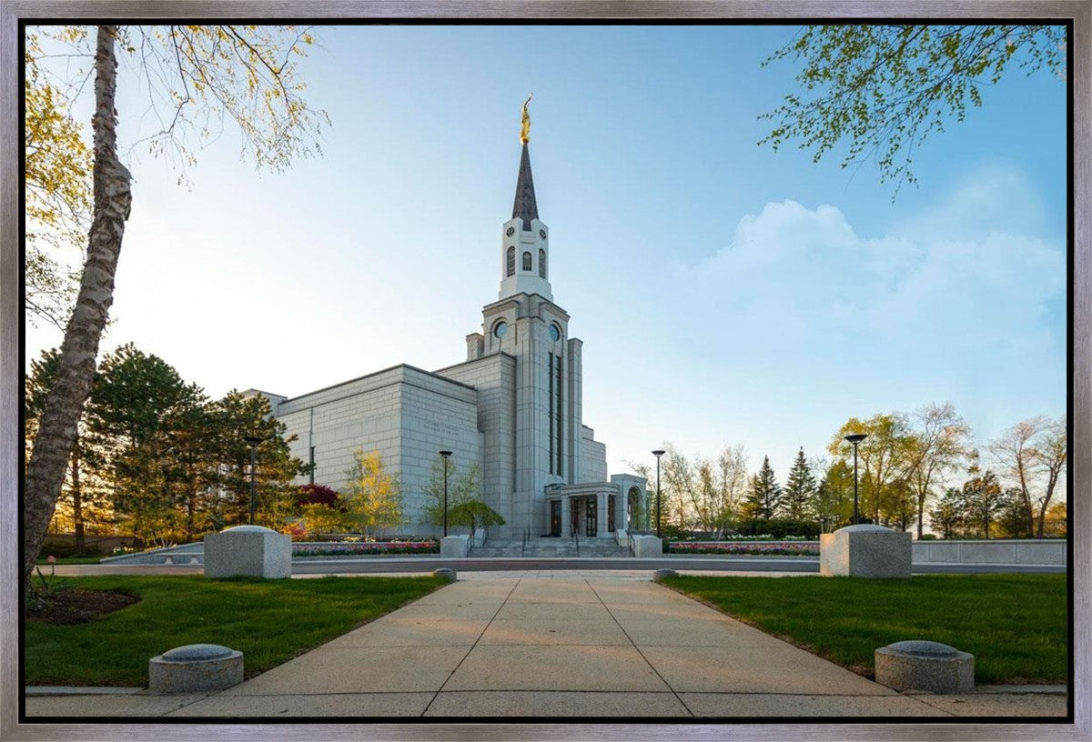 Boston Temple Spring Blossoms Gallery Wrap