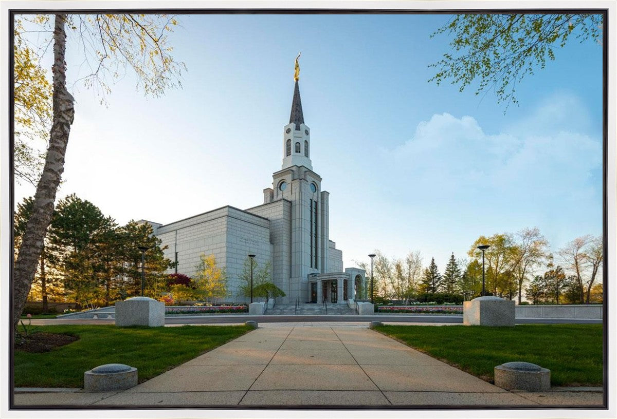 Boston Temple Spring Blossoms Gallery Wrap