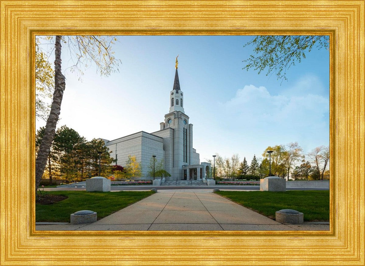 Boston Temple Spring Blossoms