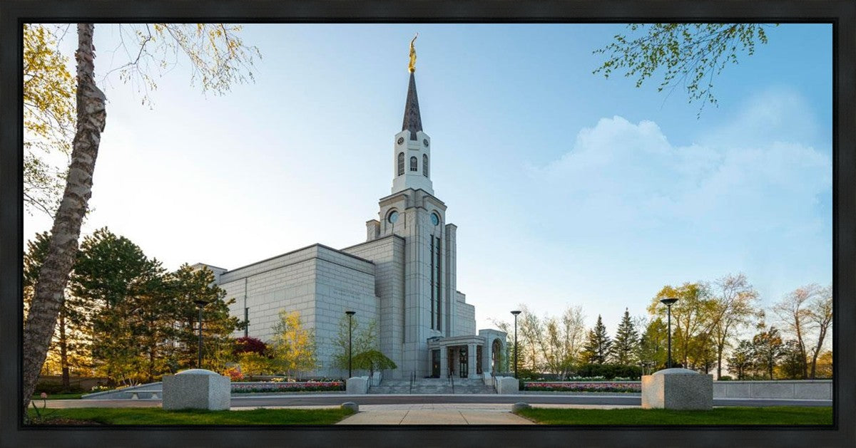 Boston Temple Spring Blossoms Gallery Wrap