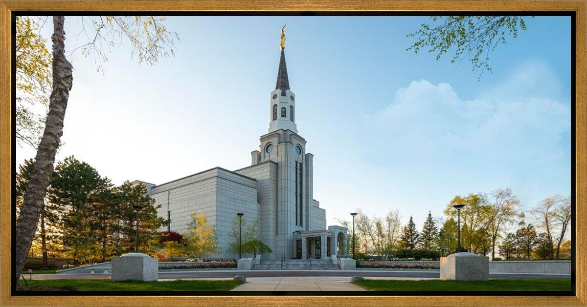 Boston Temple Spring Blossoms Gallery Wrap