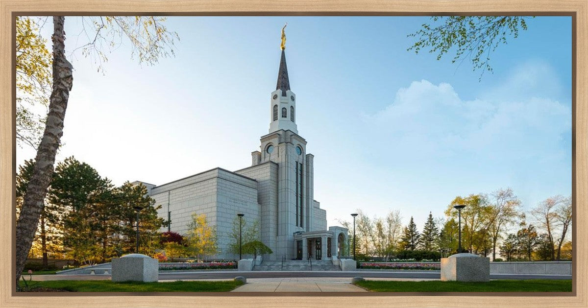 Boston Temple Spring Blossoms Gallery Wrap