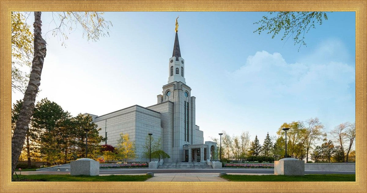 Boston Temple Spring Blossoms
