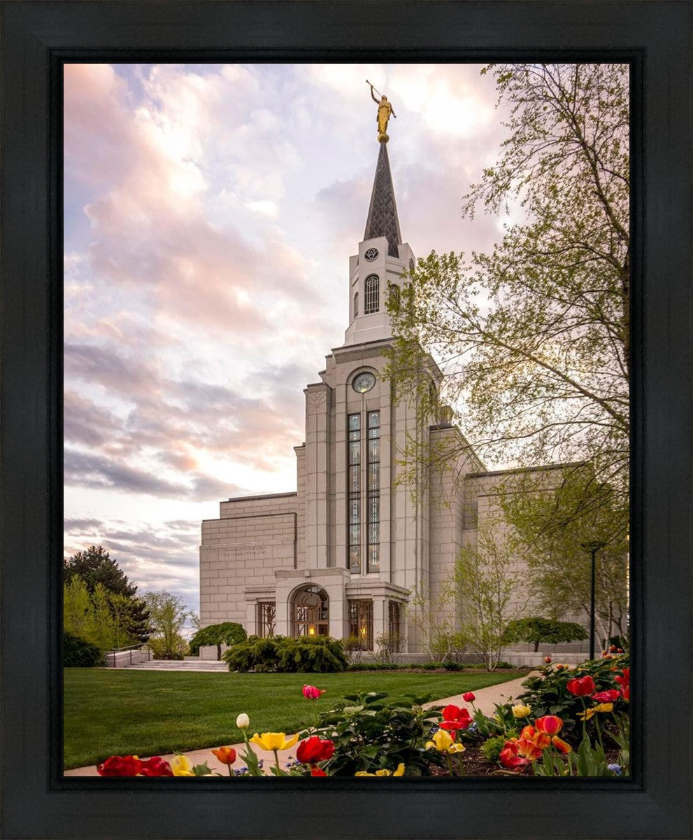 Boston Temple Spring Tulips Gallery Wrap