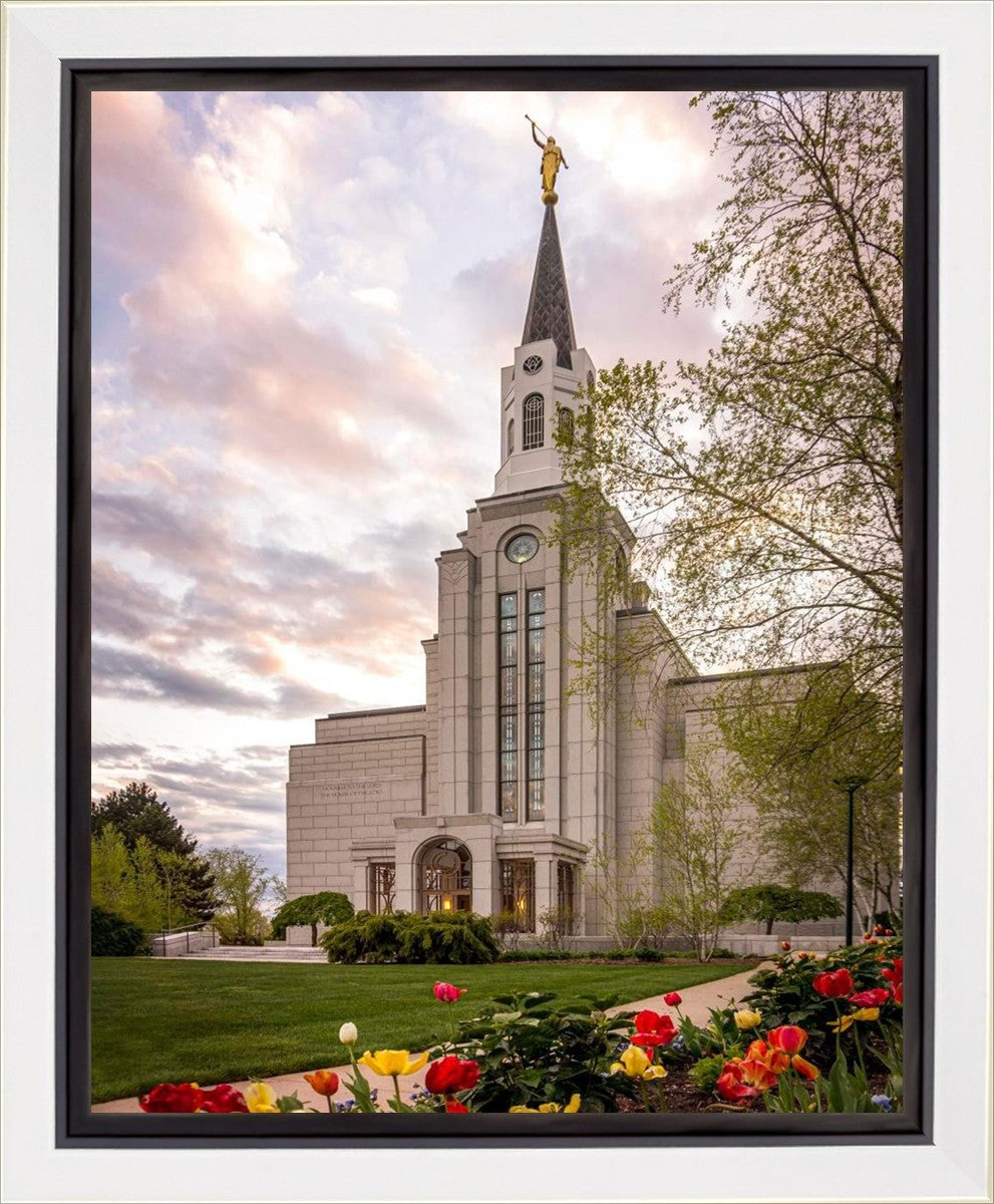 Boston Temple Spring Tulips Gallery Wrap