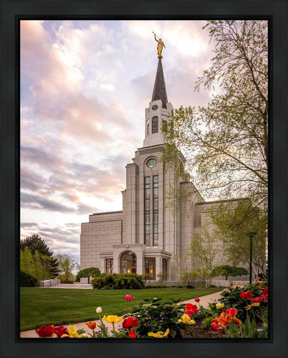 Boston Temple Spring Tulips Gallery Wrap
