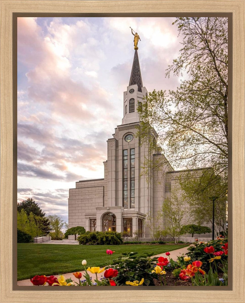 Boston Temple Spring Tulips Gallery Wrap