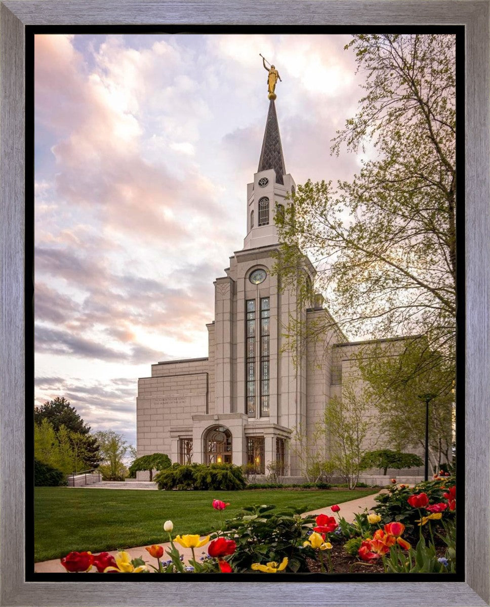 Boston Temple Spring Tulips Gallery Wrap