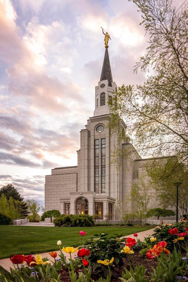 Boston Temple Spring Tulips Gallery Wrap