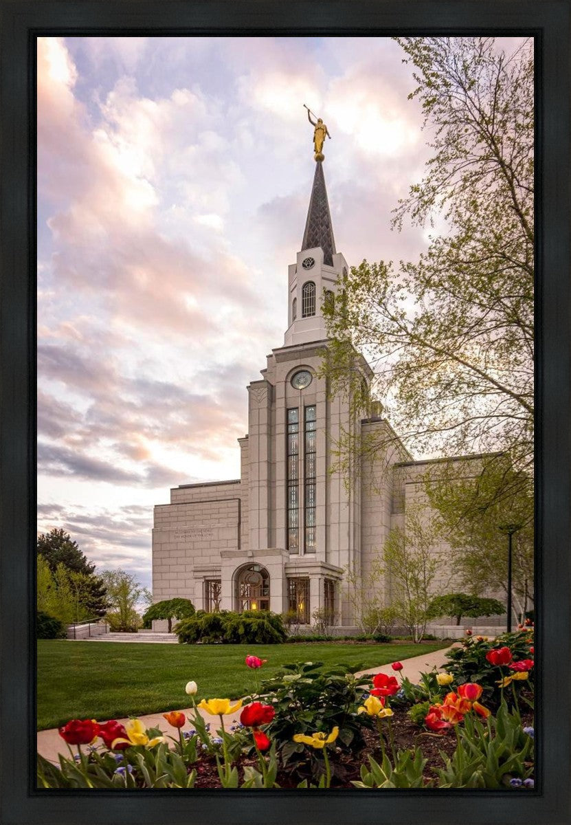 Boston Temple Spring Tulips Gallery Wrap