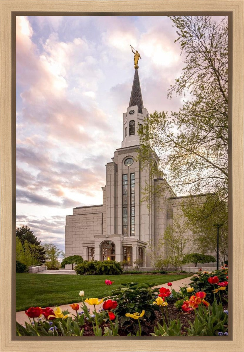 Boston Temple Spring Tulips Gallery Wrap
