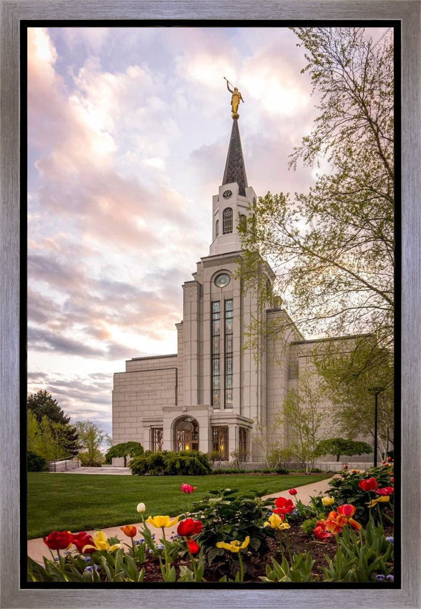Boston Temple Spring Tulips Gallery Wrap