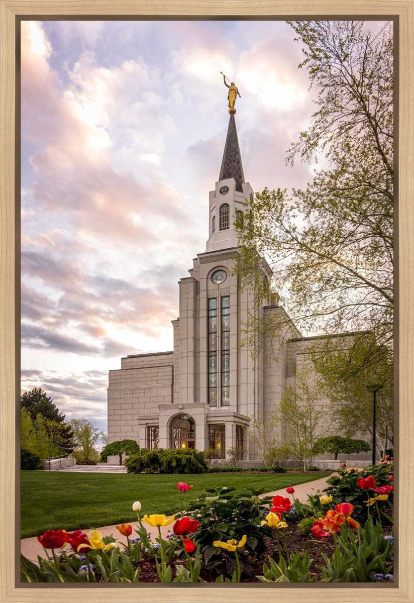 Boston Temple Spring Tulips Gallery Wrap