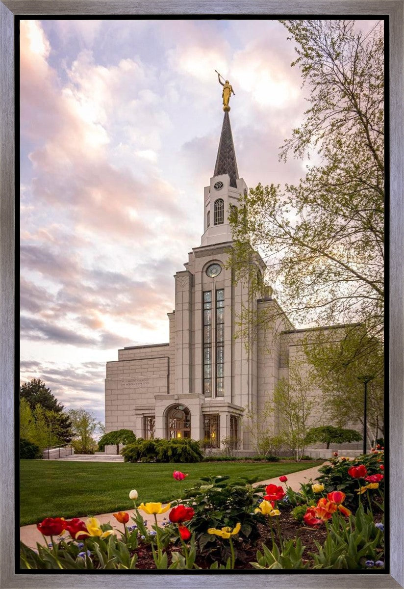 Boston Temple Spring Tulips Gallery Wrap