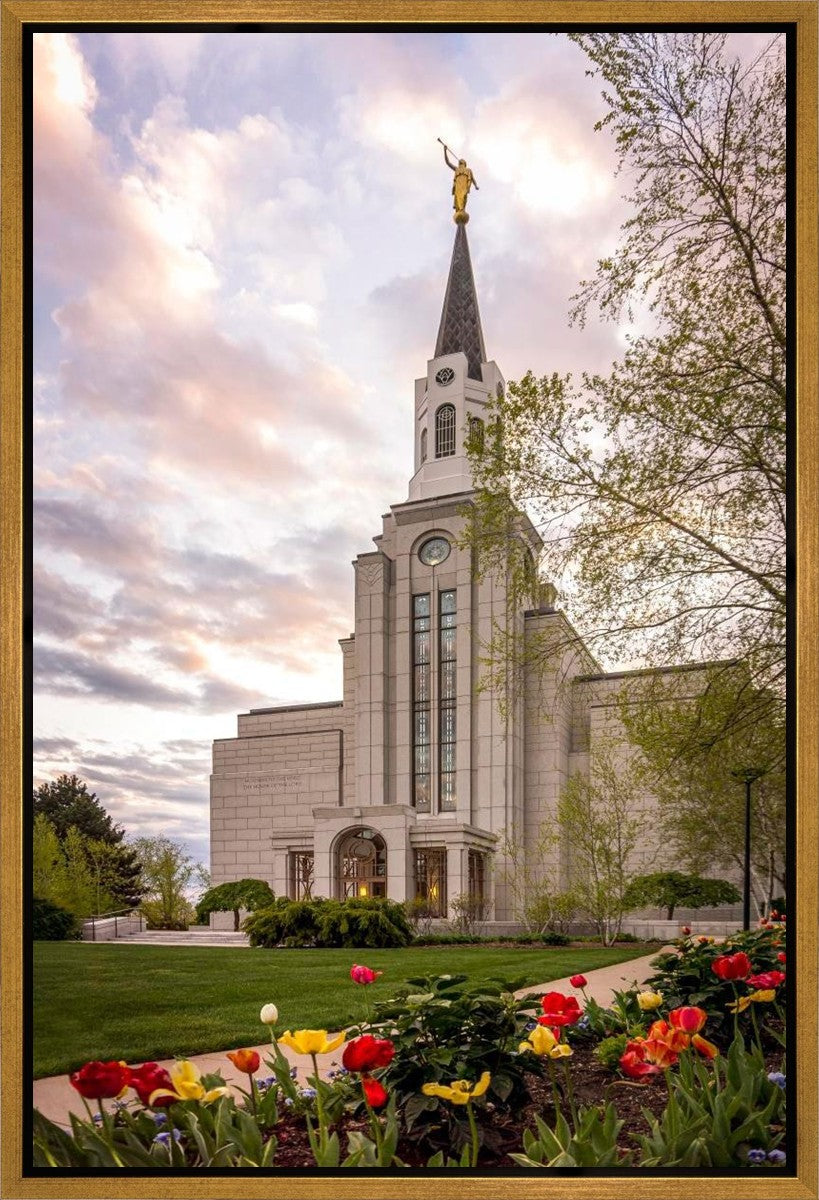 Boston Temple Spring Tulips Gallery Wrap