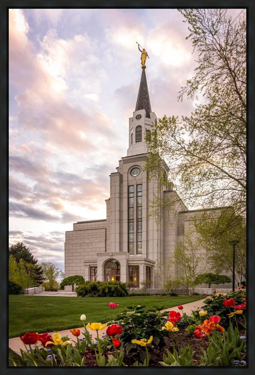 Boston Temple Spring Tulips Gallery Wrap