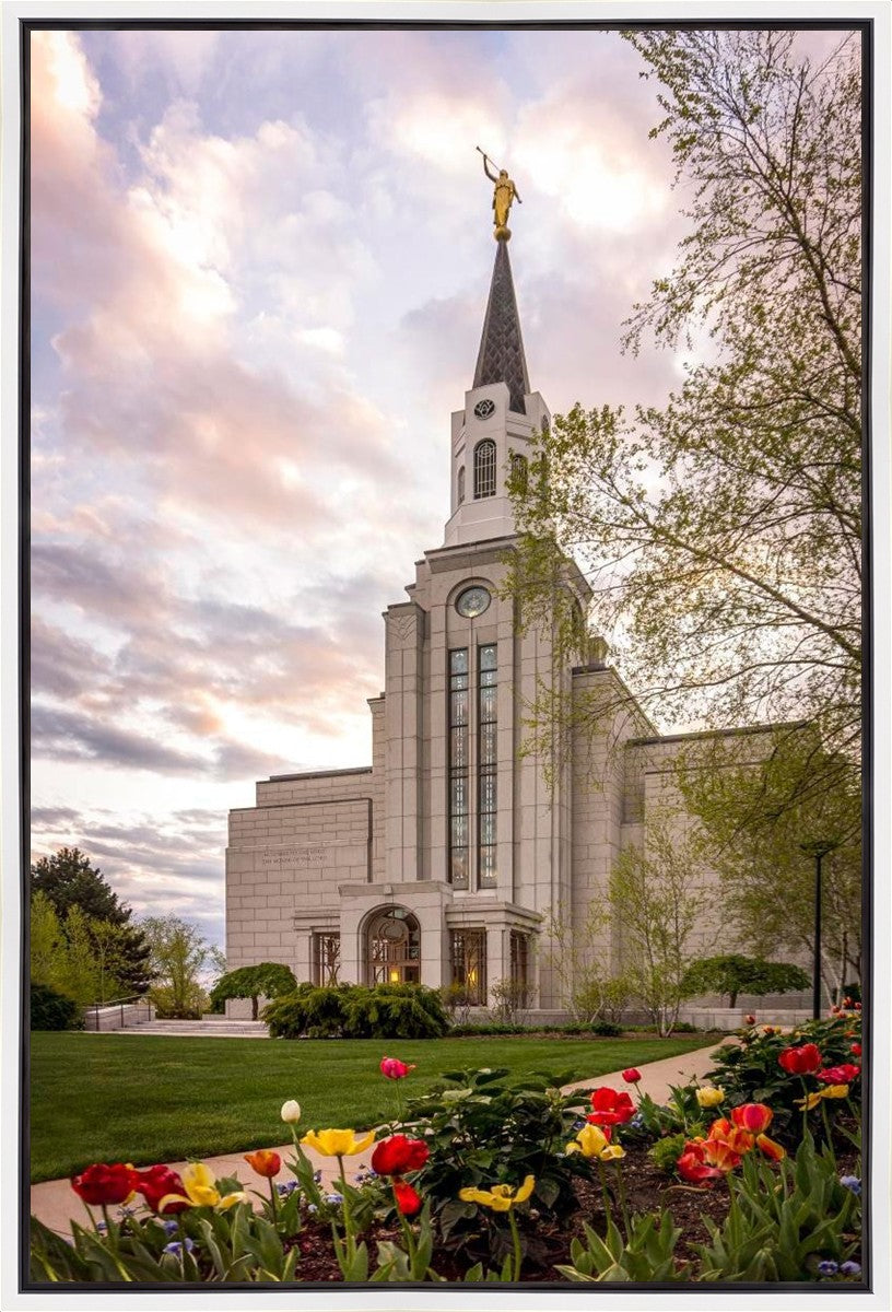 Boston Temple Spring Tulips Gallery Wrap