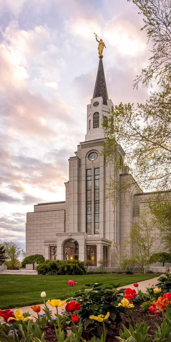 Boston Temple Spring Tulips Gallery Wrap