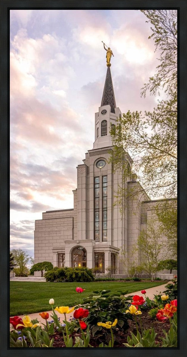 Boston Temple Spring Tulips Gallery Wrap