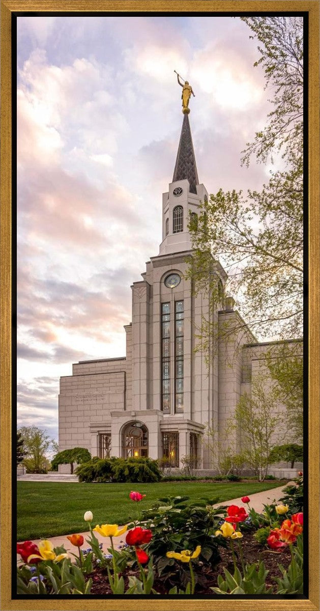 Boston Temple Spring Tulips Gallery Wrap