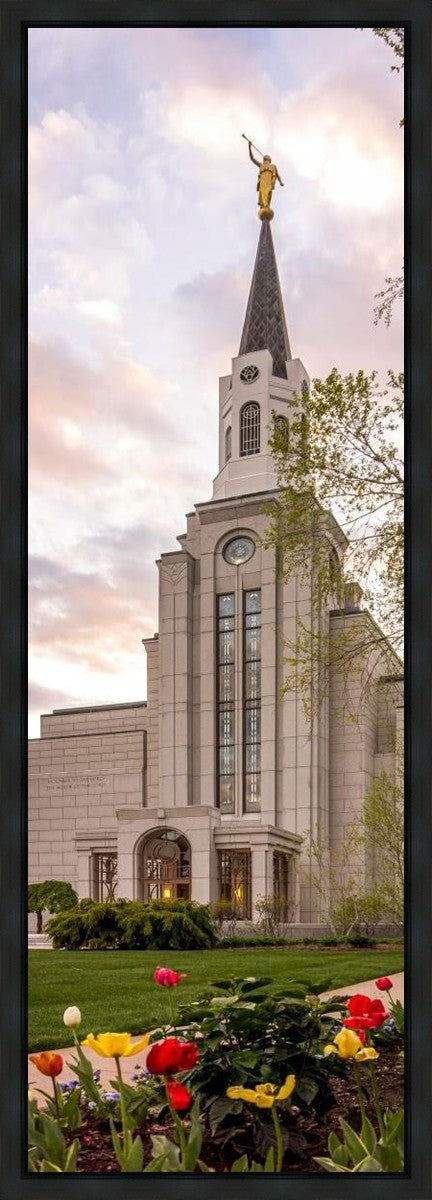 Boston Temple Spring Tulips Gallery Wrap