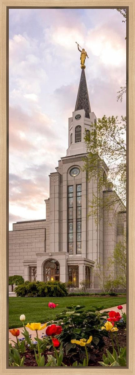 Boston Temple Spring Tulips Gallery Wrap