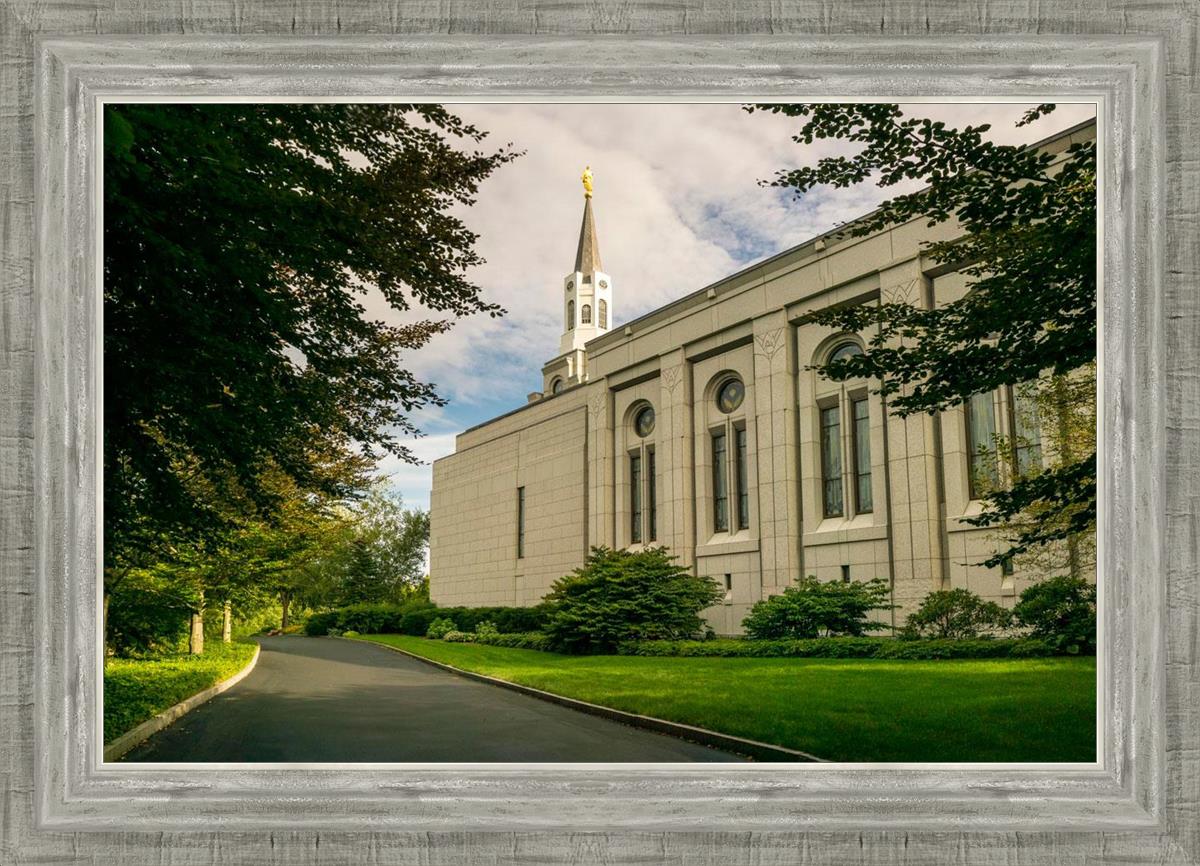 Boston Temple Trees Of Life Panoramic