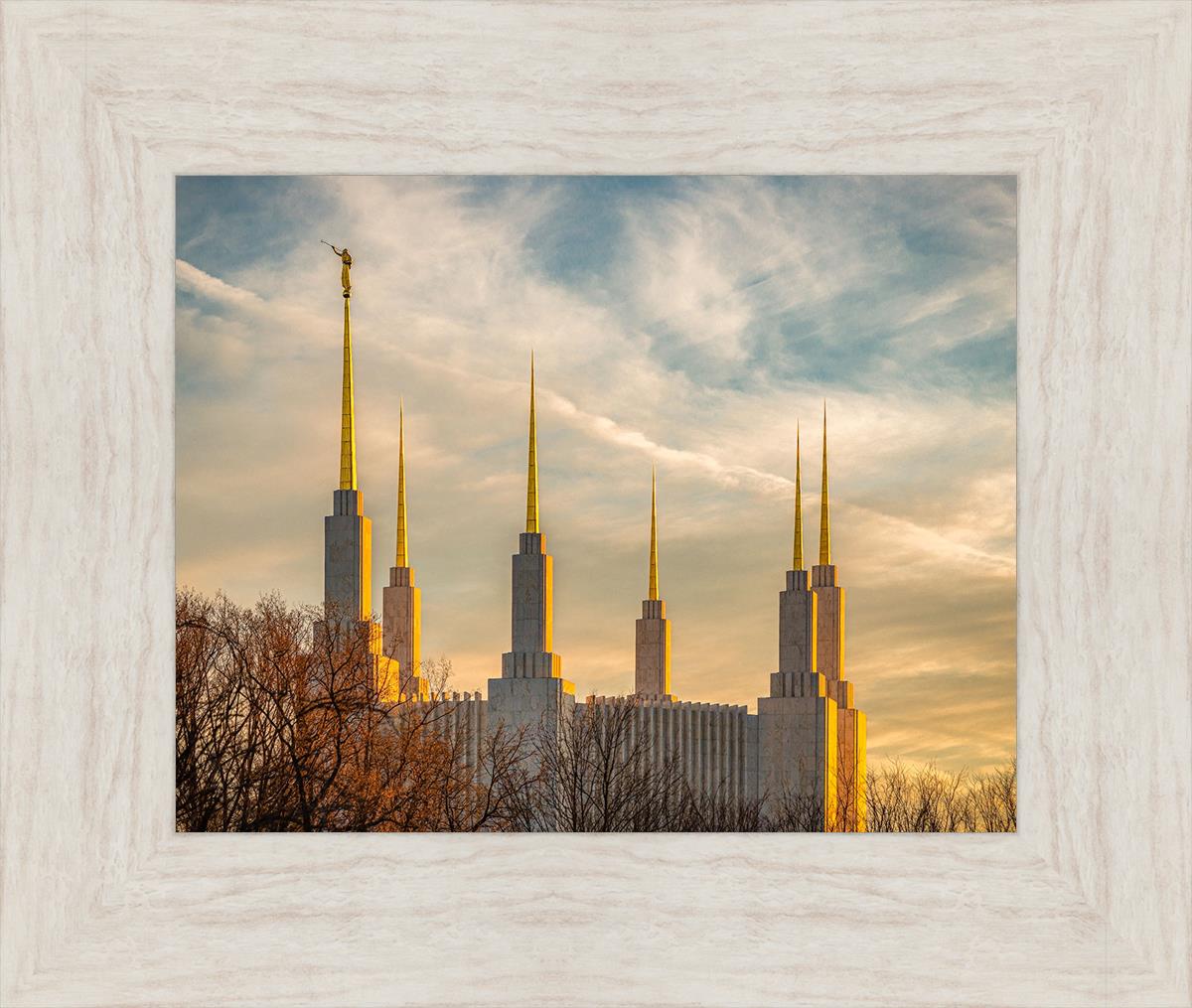 Golden Hour Washington DC Temple