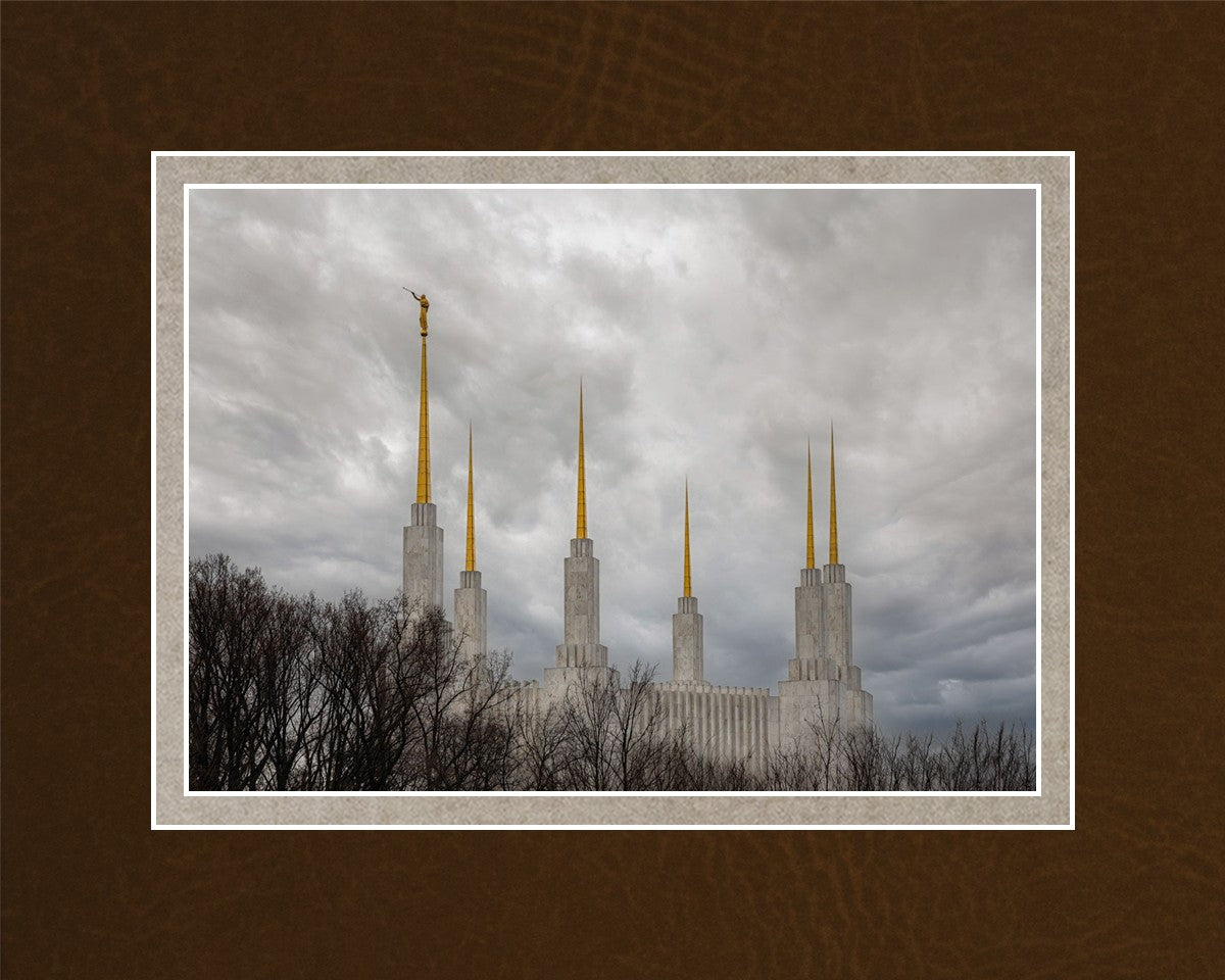 Washington DC Through Life's Storms