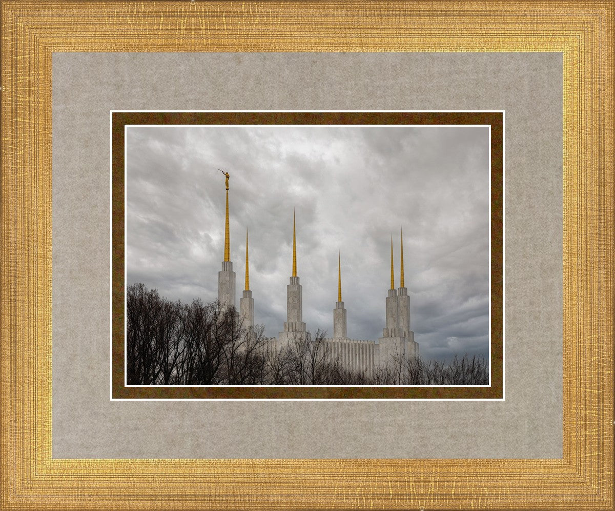 Washington DC Through Life's Storms