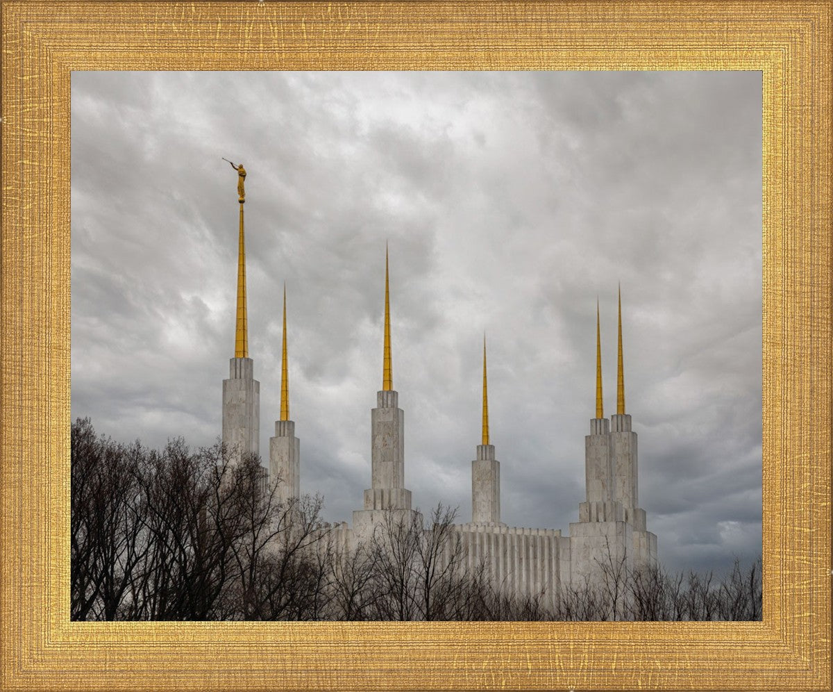 Washington DC Through Life's Storms