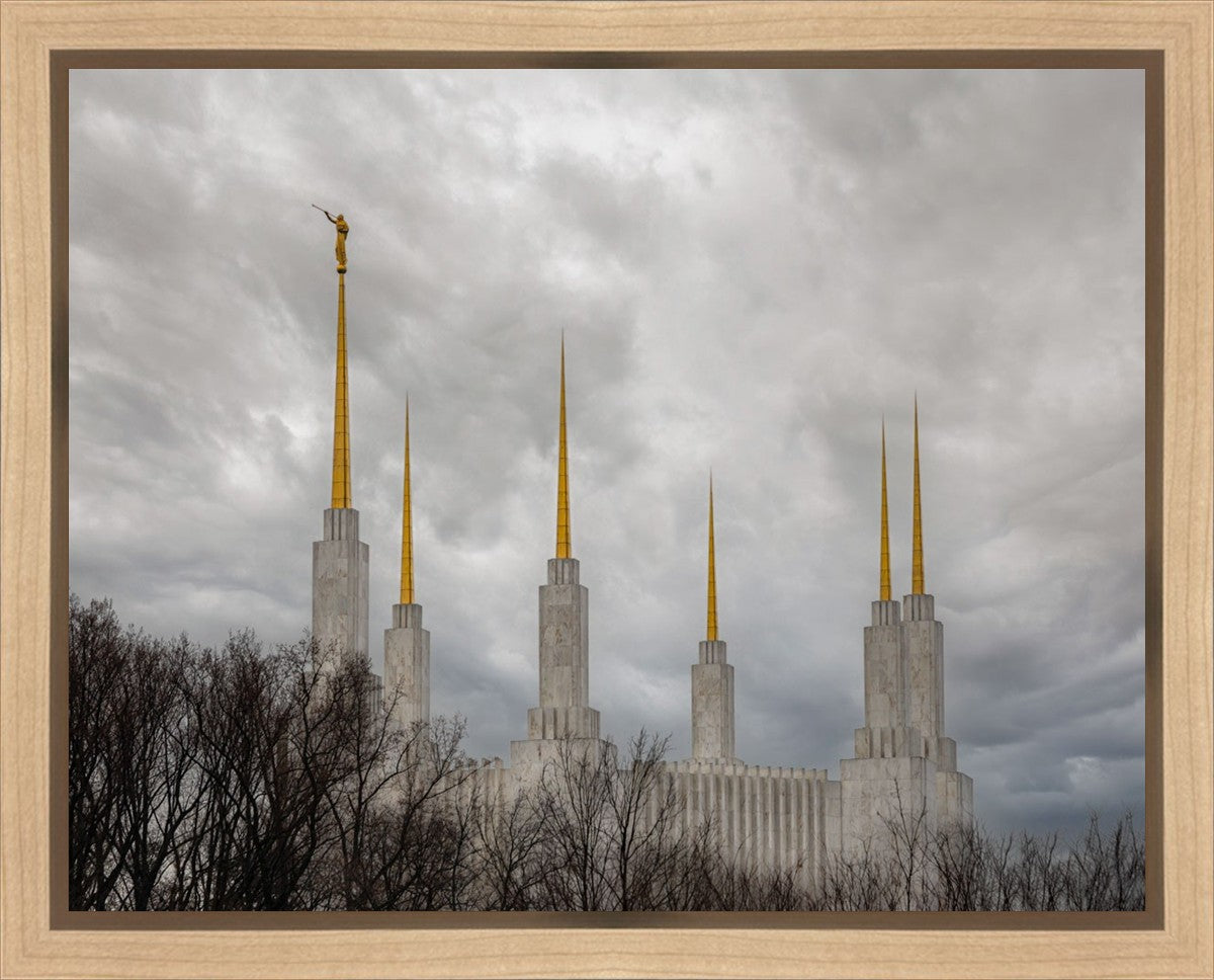 Washington DC Through Life's Storms Gallery Wrap