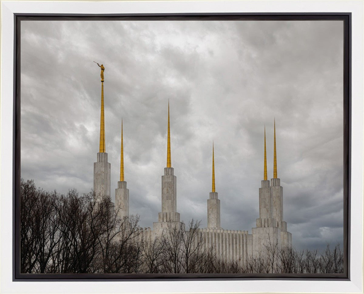 Washington DC Through Life's Storms Gallery Wrap